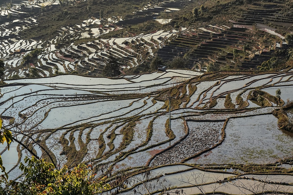 云南红河 · 撒玛坝梯田