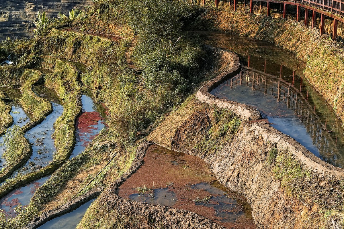 云南红河 · 撒玛坝梯田