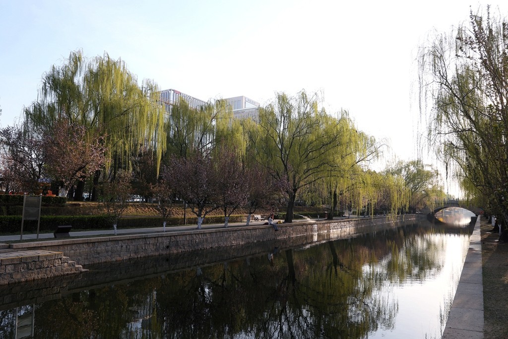 元大都的海棠花溪