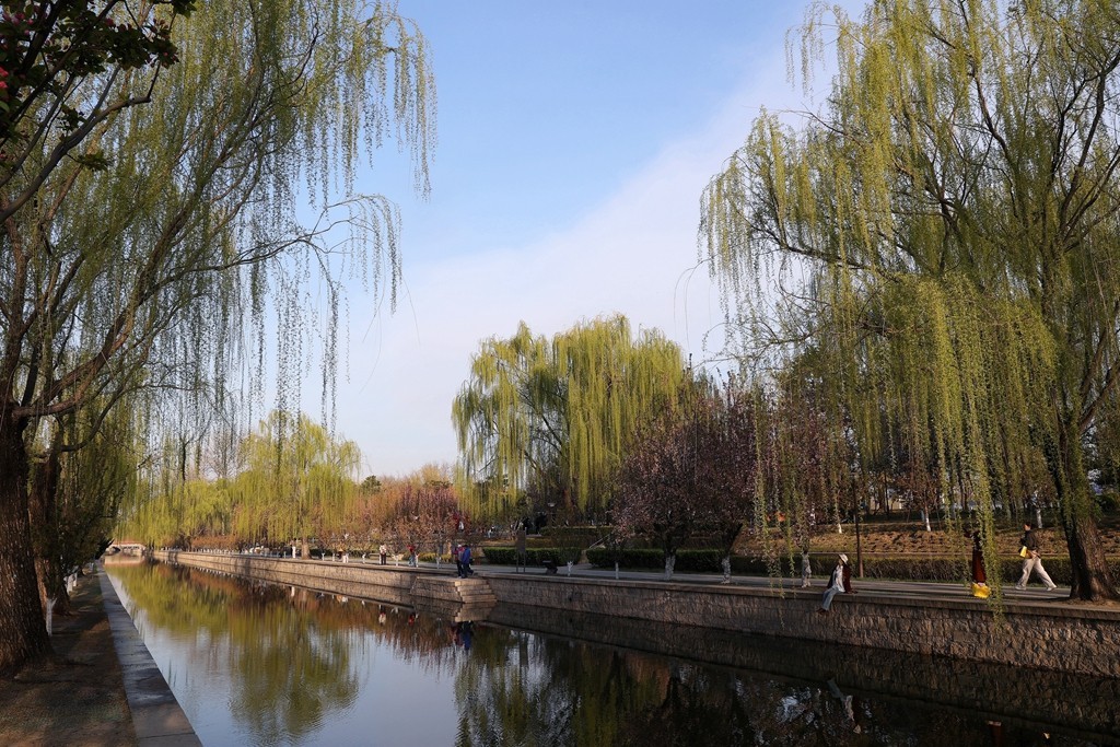 元大都的海棠花溪