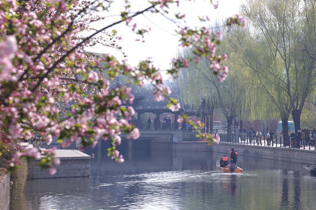 元大都的海棠花溪