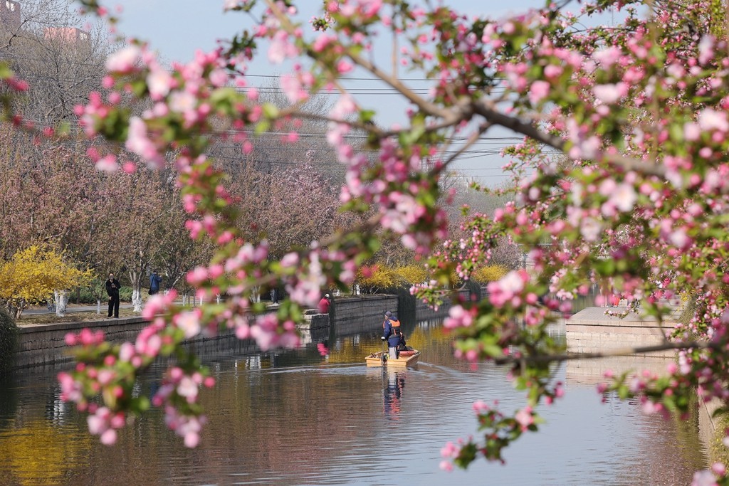 元大都的海棠花溪