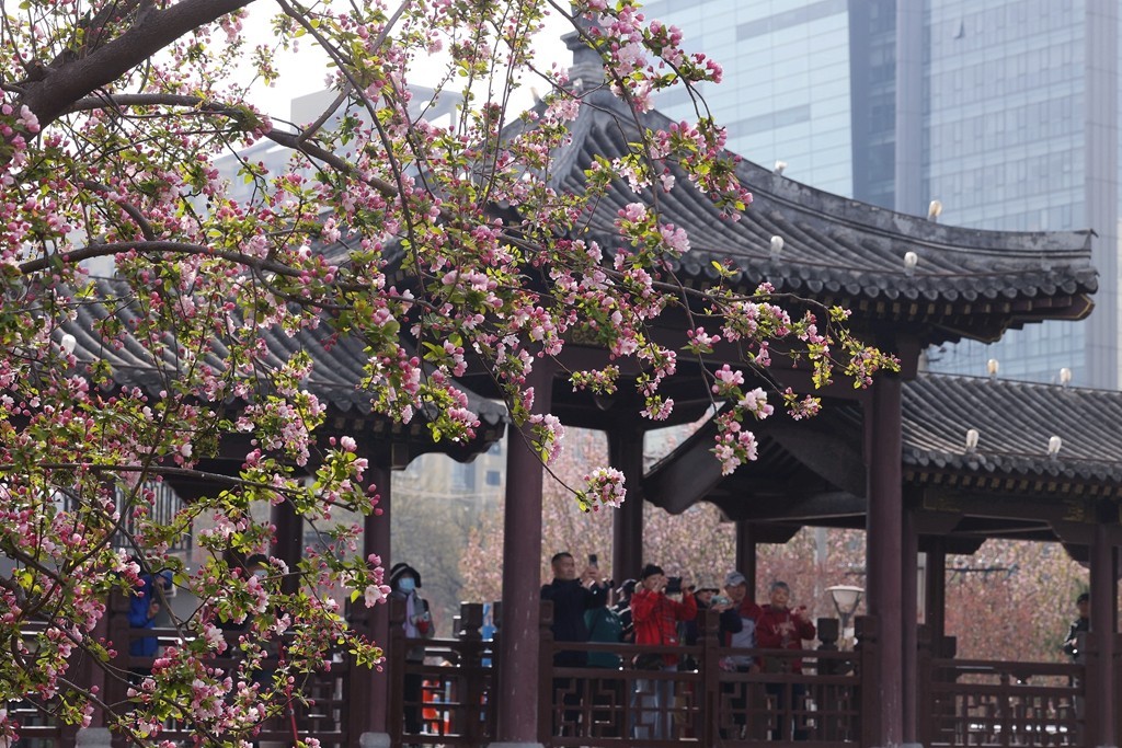 元大都的海棠花溪