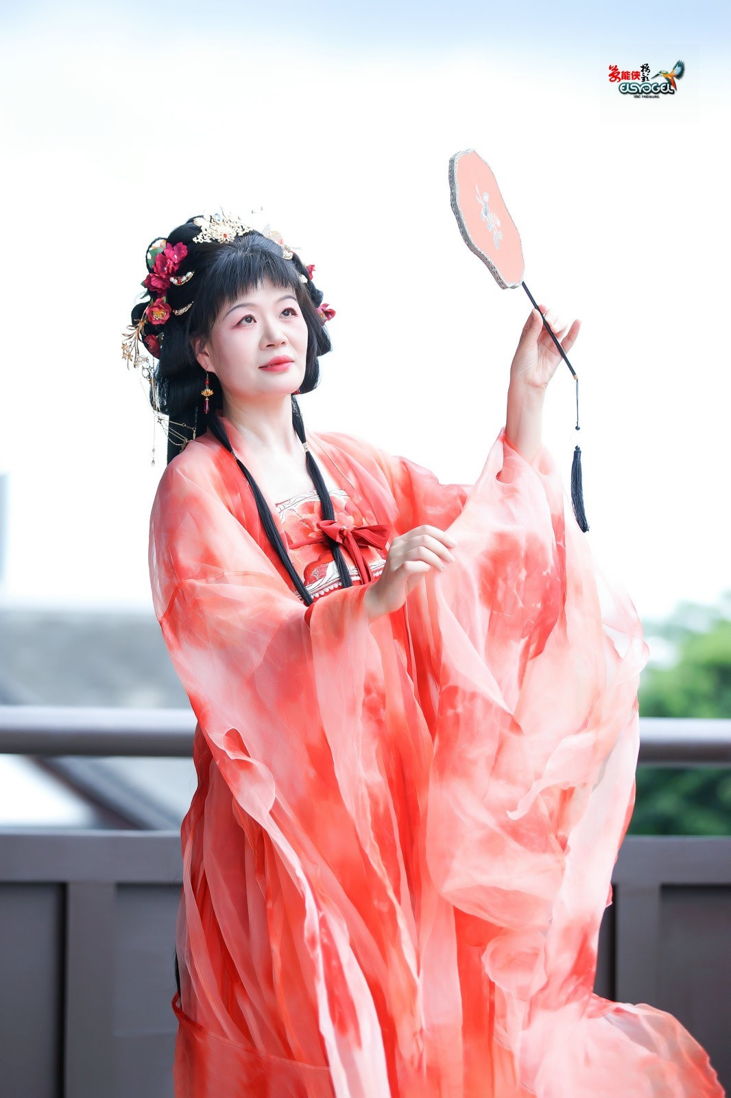 【凌波牡丹仙子】---梦梦