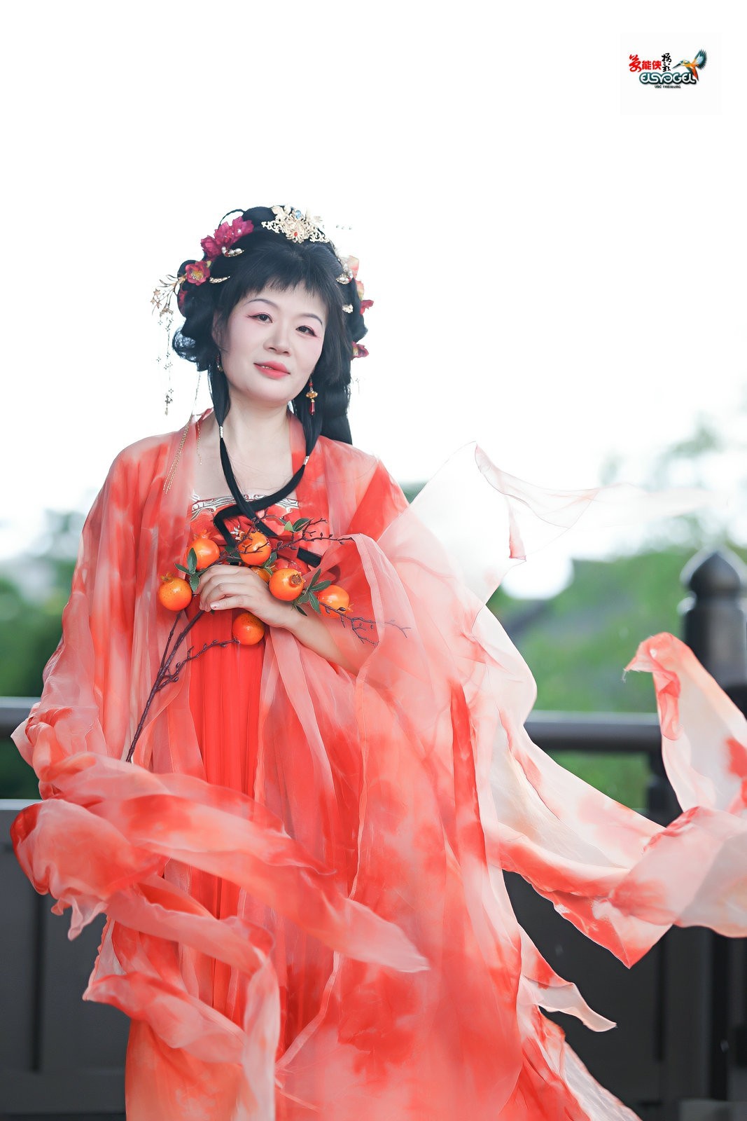 【凌波牡丹仙子】---梦梦