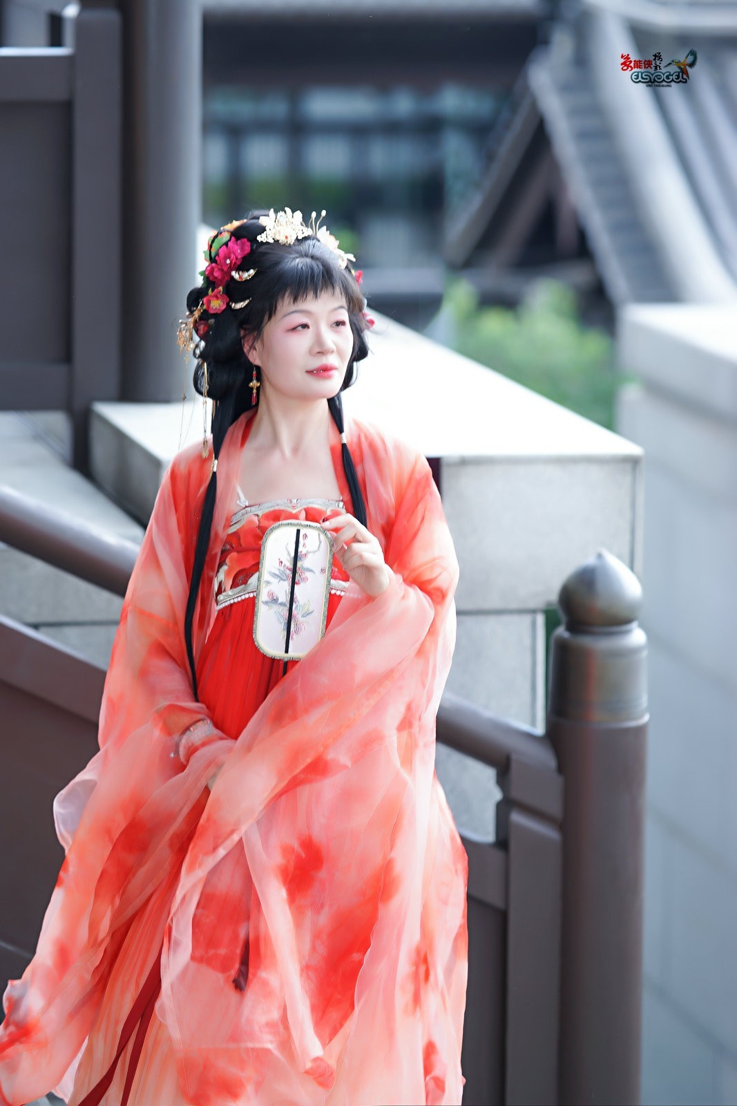 【凌波牡丹仙子】---梦梦