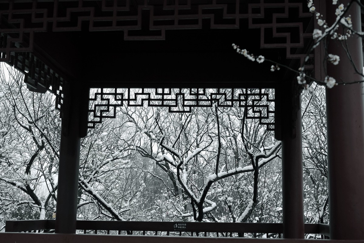 雪后公园景色