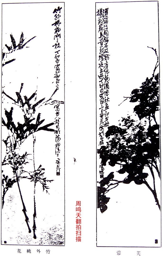 蜀中三张张采芹二十年代画册        周鸣天