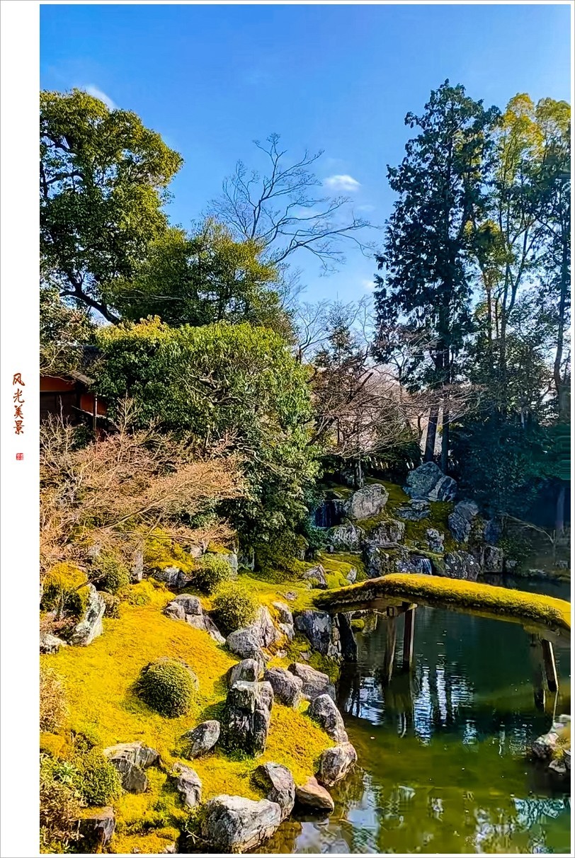 2023年第0240贴-樱花季纪实抓拍（0411F）