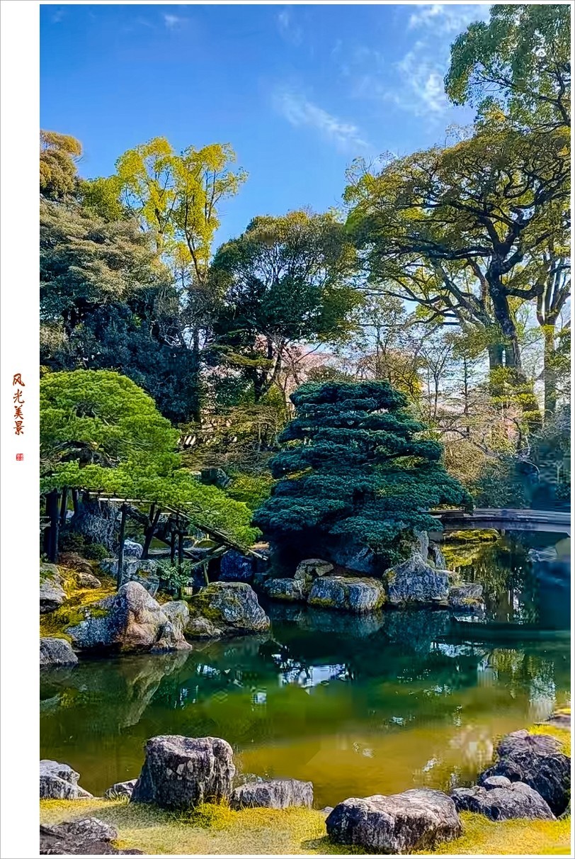 2023年第0240贴-樱花季纪实抓拍（0411F）