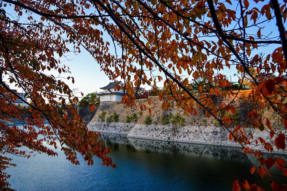 2023年-大阪行游拍-391
