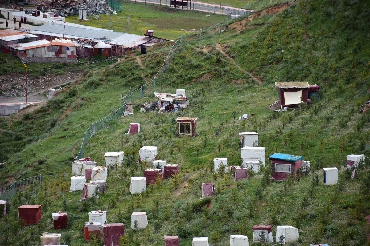 2023夏 黔赣鄂渝川（114）觉姆岛：现代的“女儿国”