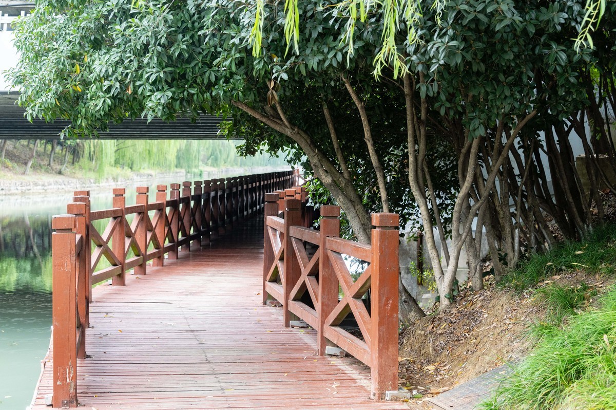 庐州印象（403）匡河公园初冬