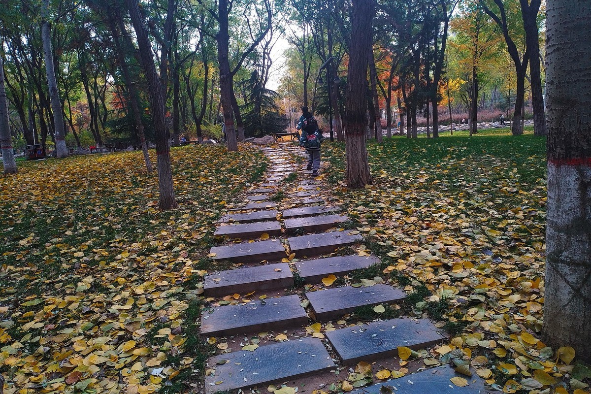 晚秋·槐北公园