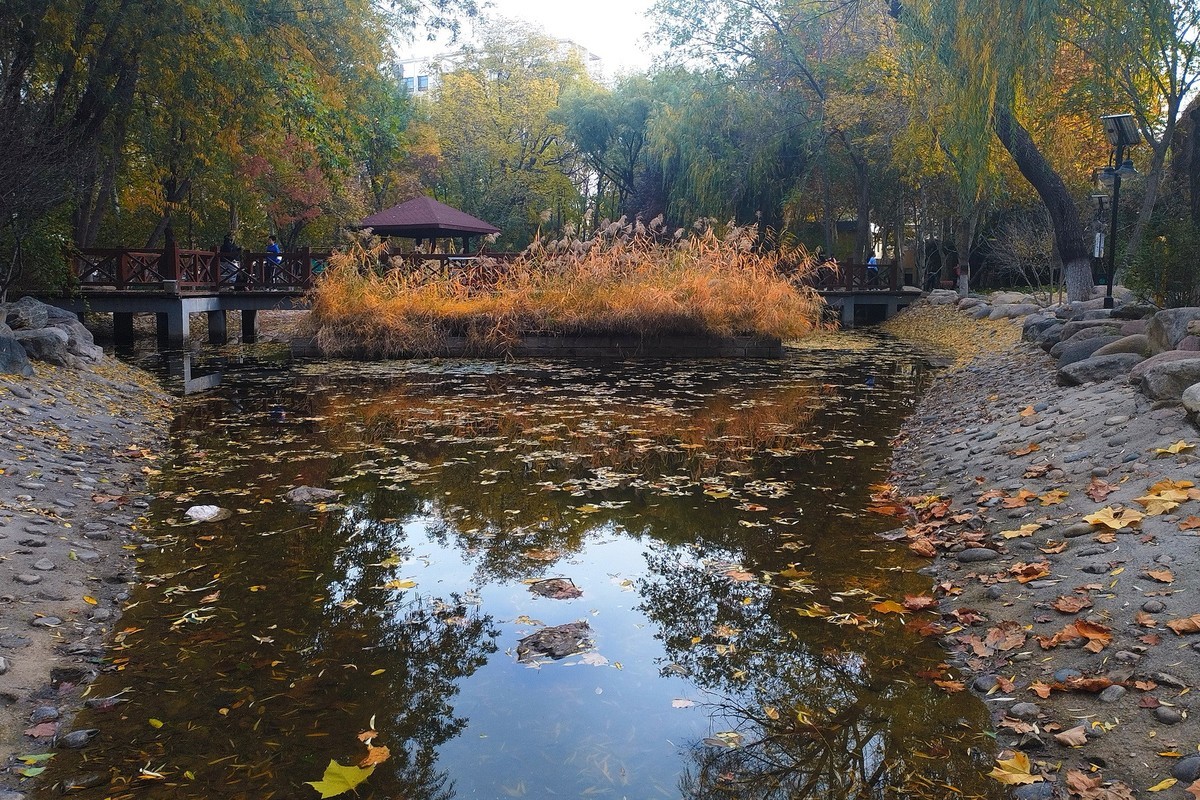 晚秋·槐北公园