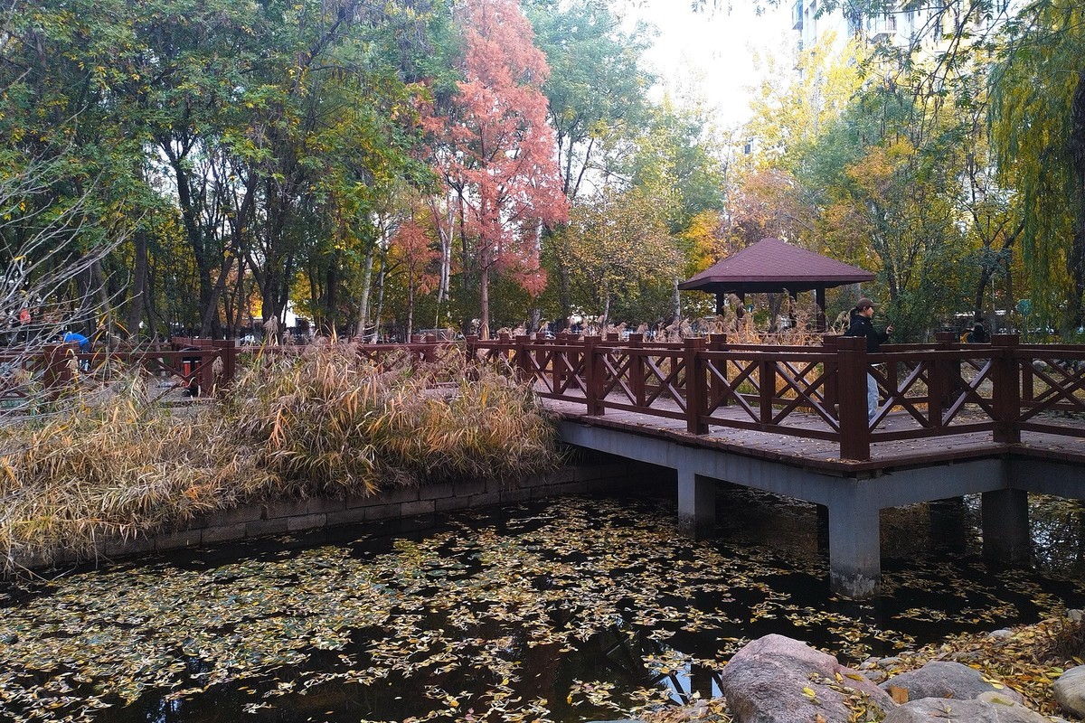 晚秋·槐北公园