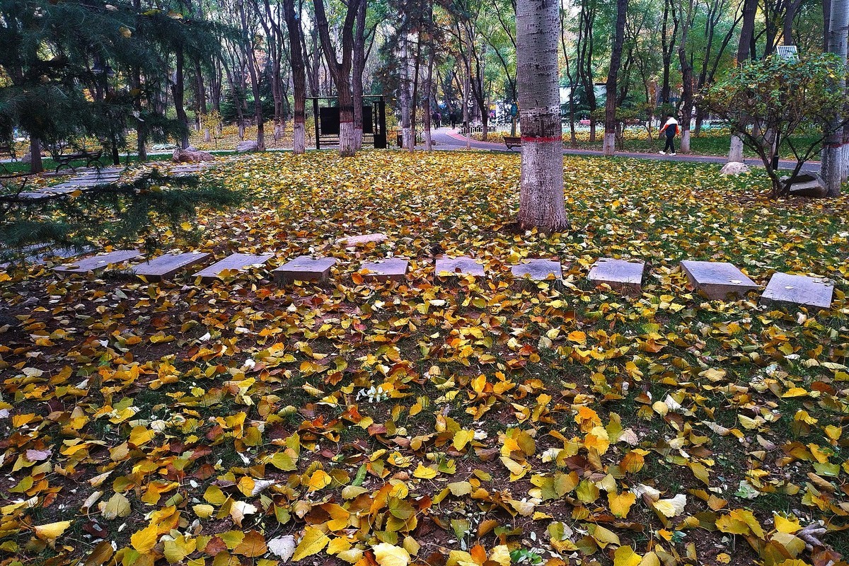 晚秋·槐北公园