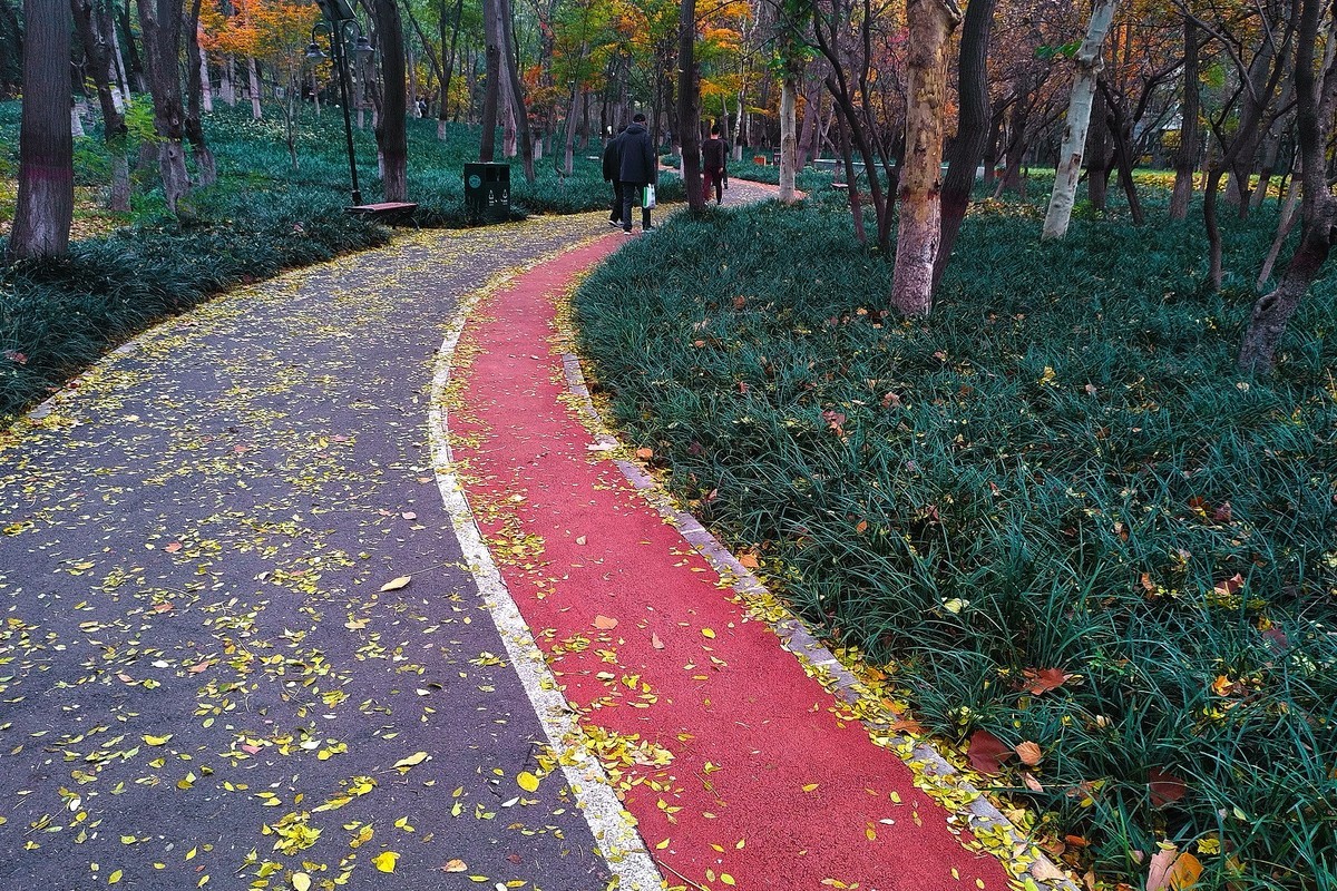 晚秋·槐北公园