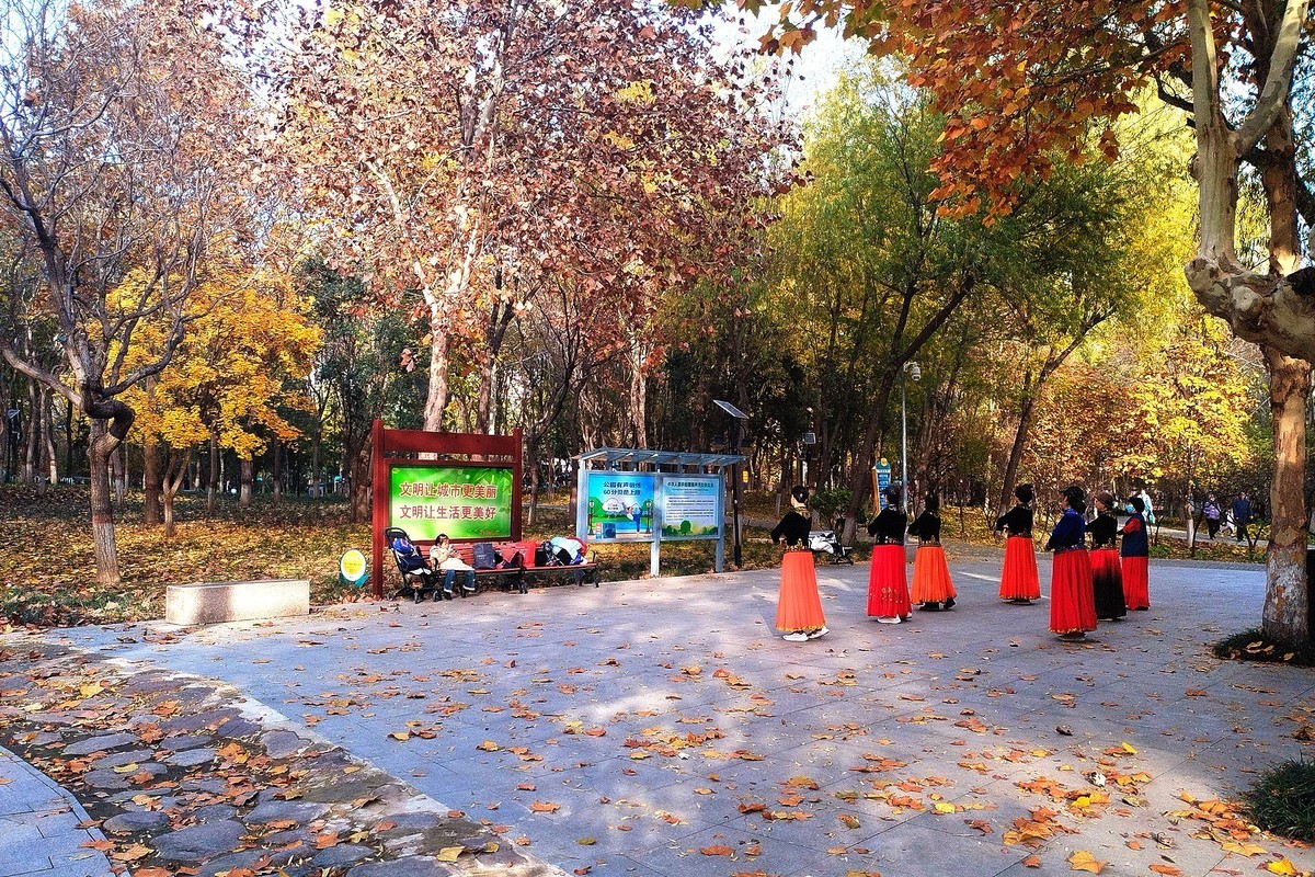 晚秋·槐北公园