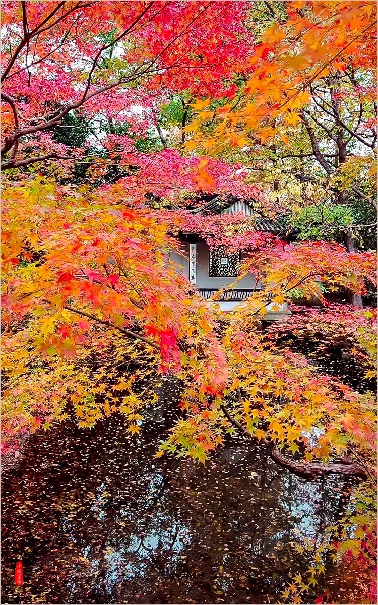 2024年- 江南风光抓拍-1075