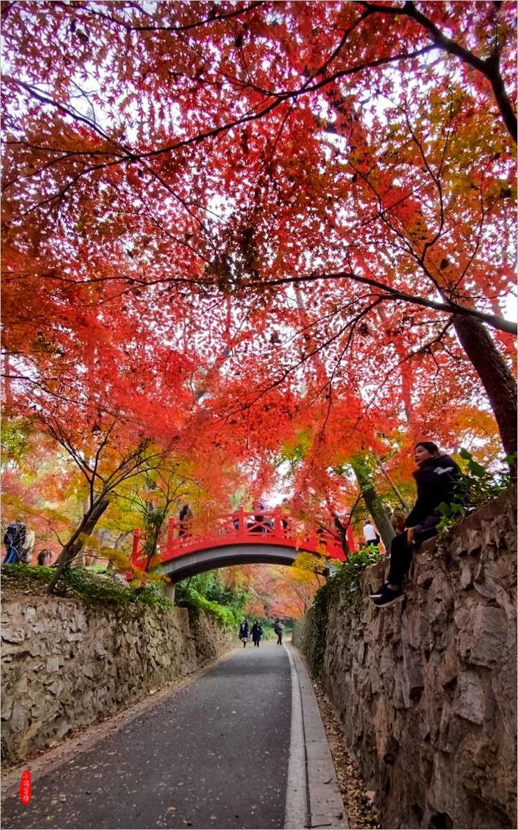 2024年- 江南风光抓拍-1075