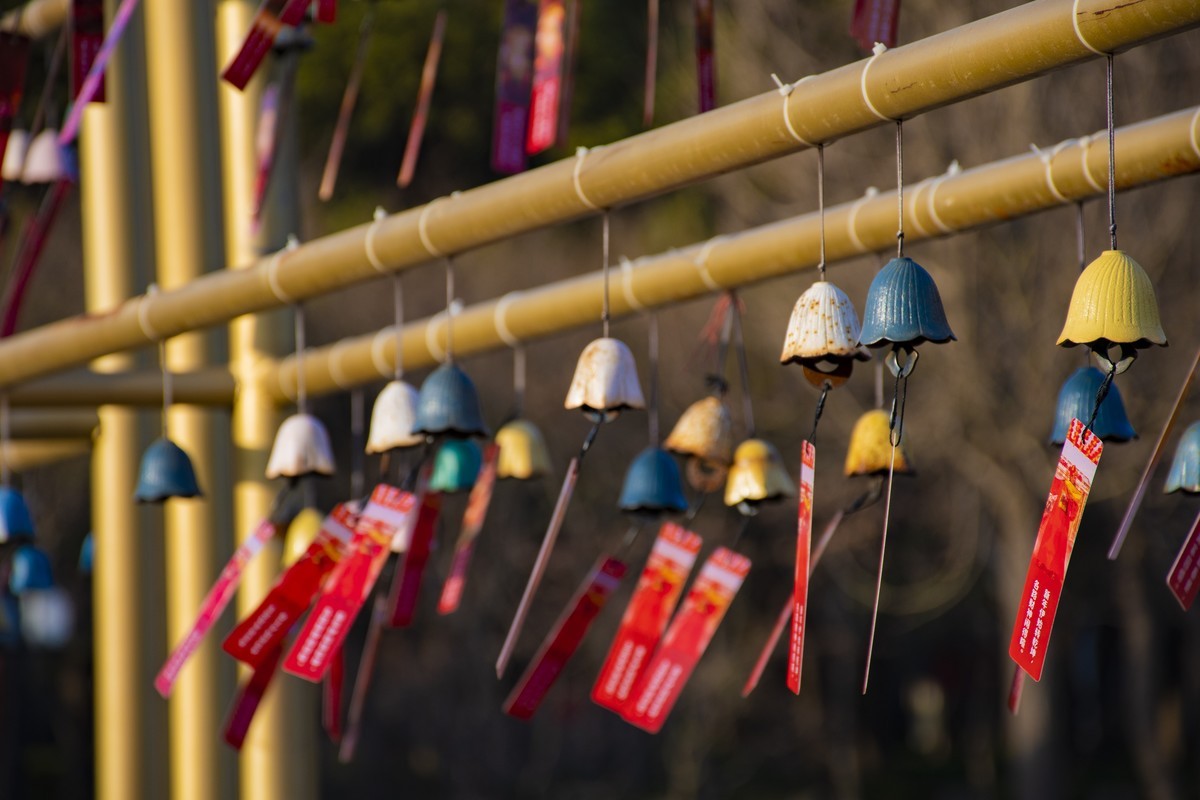 拍照狂魔之无锡灵山二【15P】