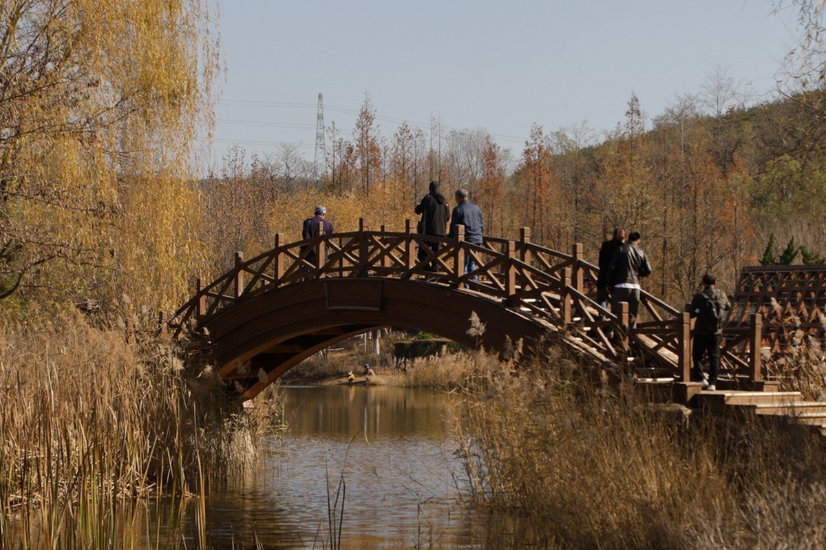 滨城游拍——西郊棠梨湖公园（2024-2）