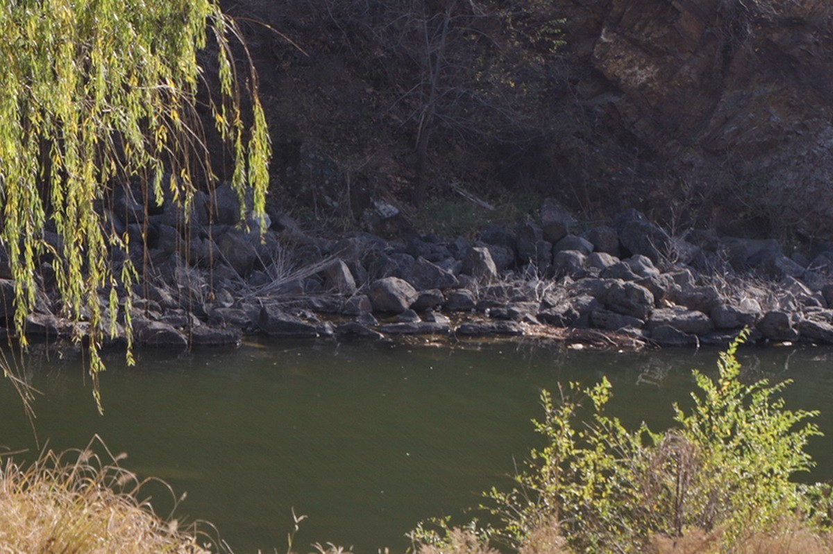 滨城游拍——西郊棠梨湖公园（2024-2）