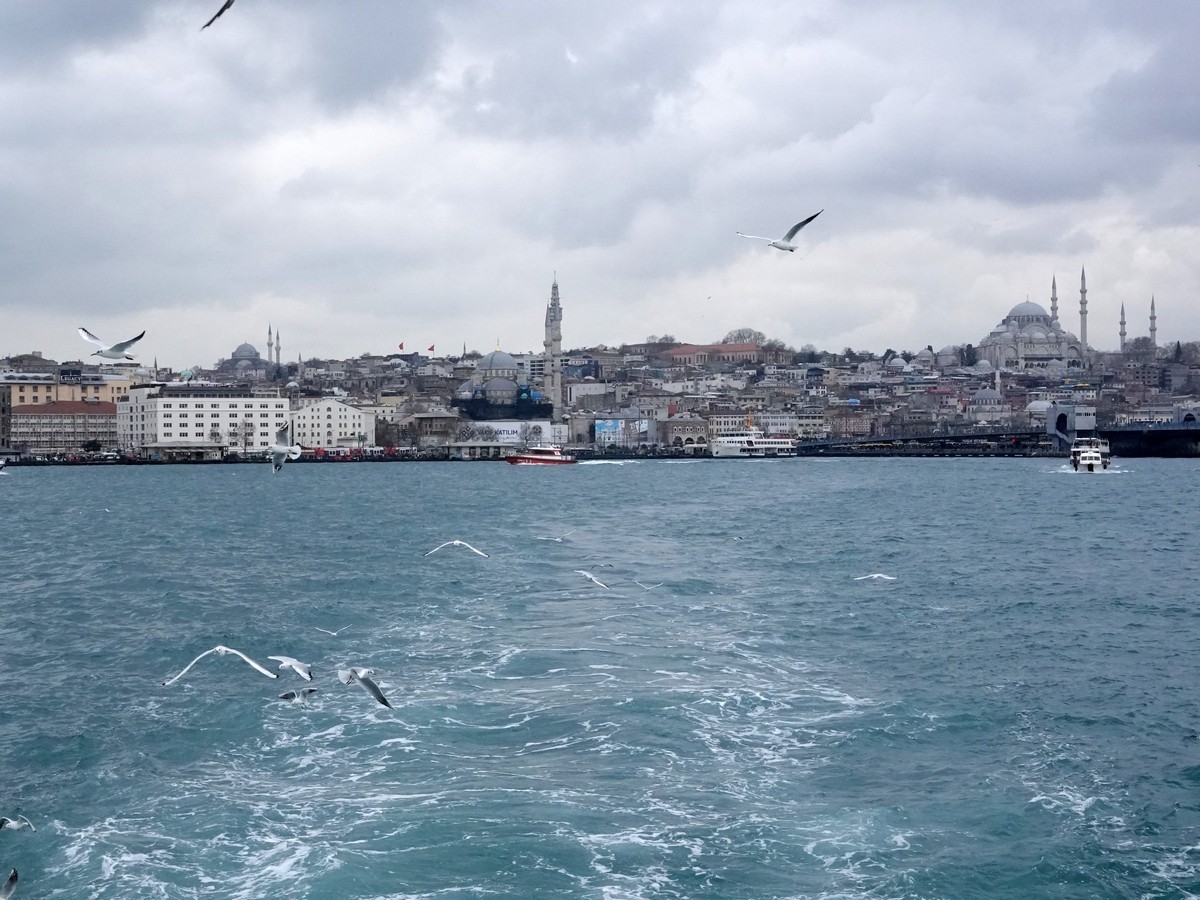 坐船欣赏博斯普鲁斯海峡两岸风光（伊斯坦布尔）