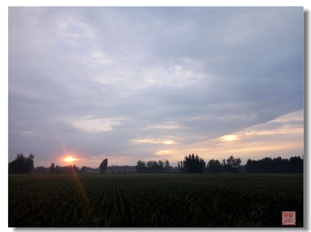 手机随手拍风光（6）