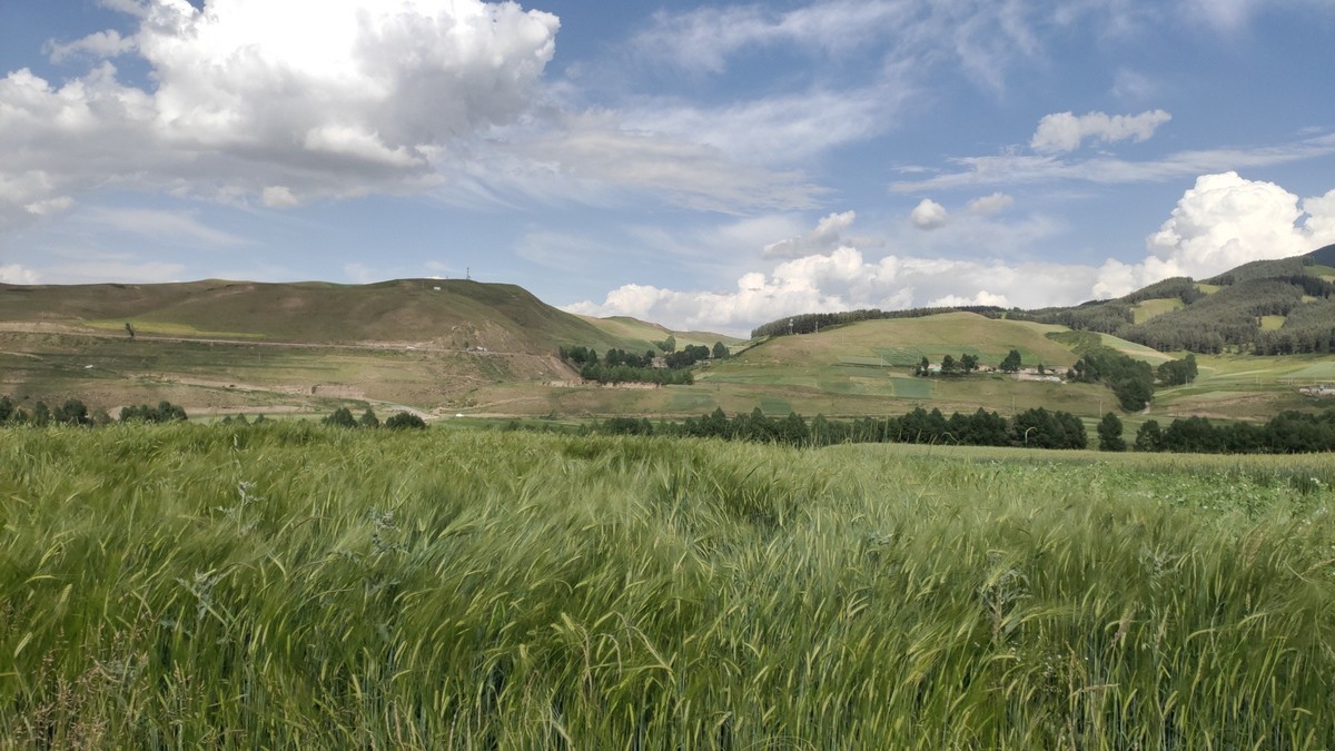 不用构图的地方，怎么拍都是美景。