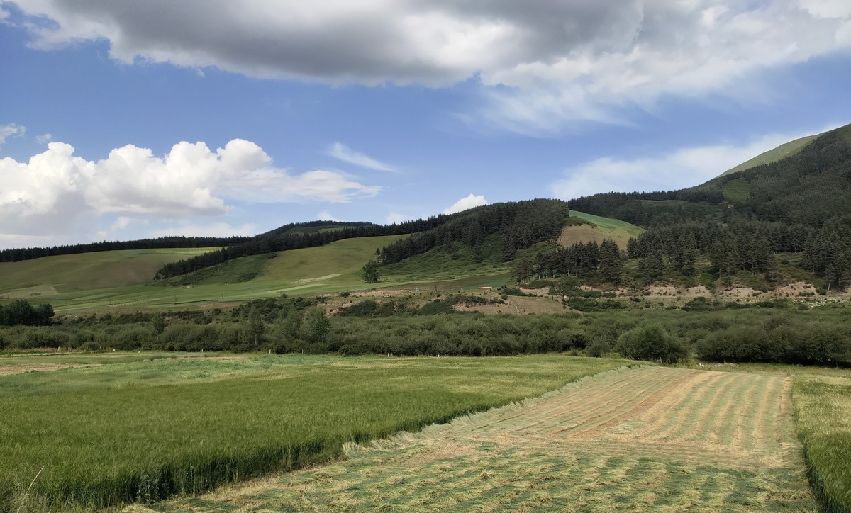 不用构图的地方，怎么拍都是美景。