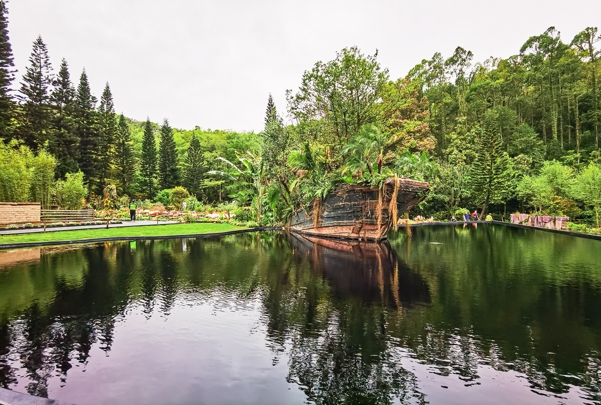 深圳仙湖植物园～ 掠影-中关村在线摄影论坛