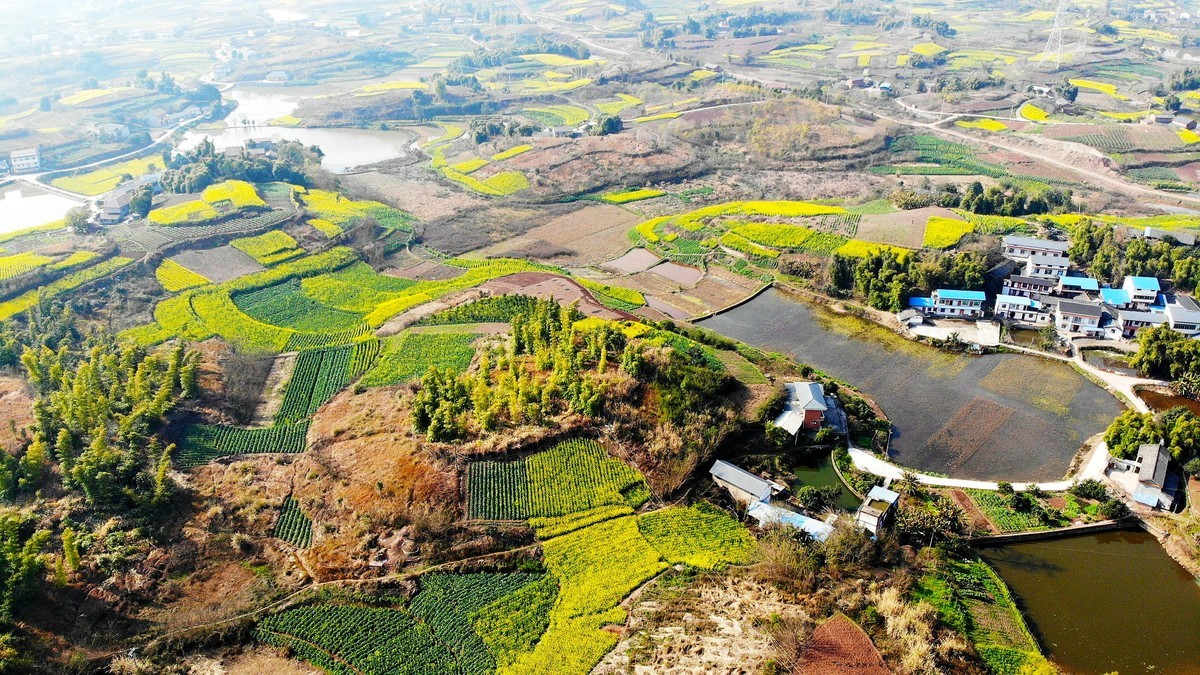 俯瞰川南自贡田园风光