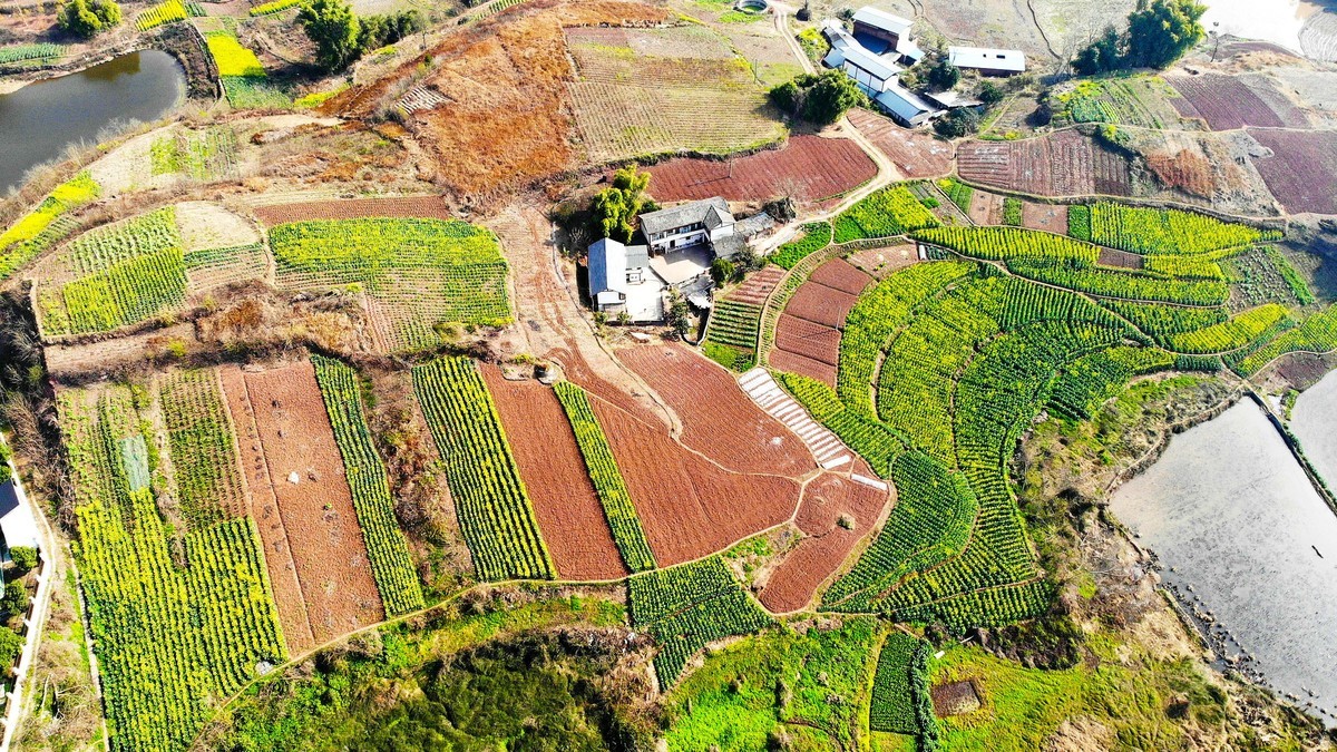 俯瞰川南自贡田园风光