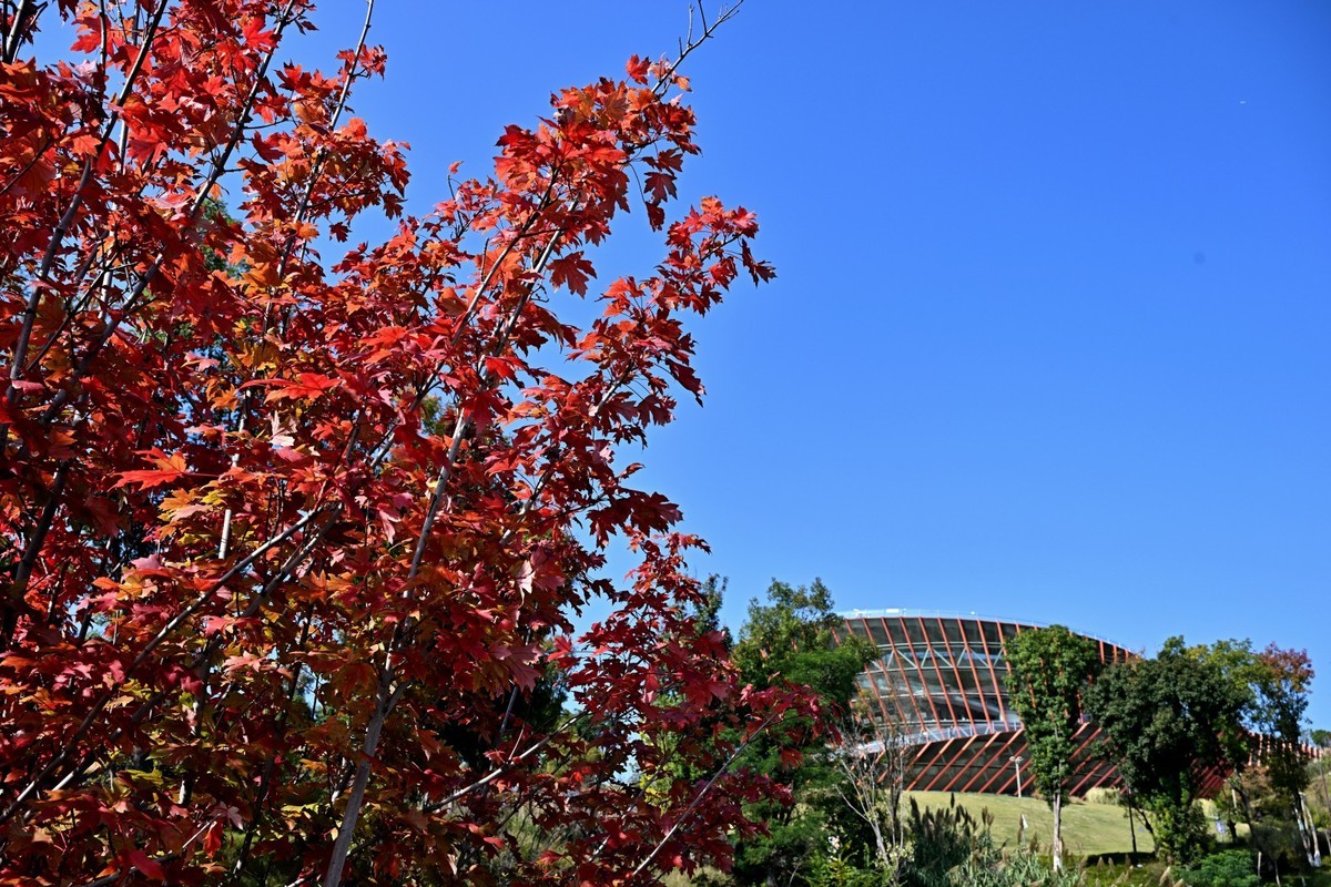 秋高气爽之丹景台