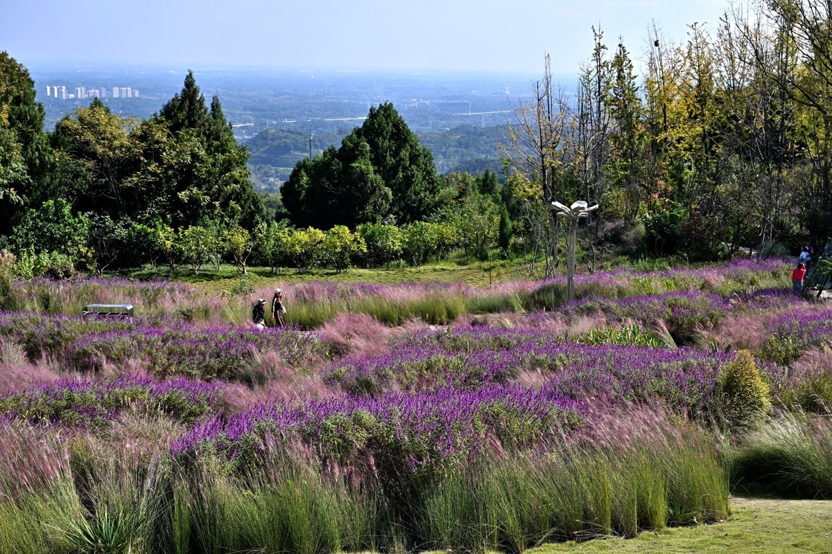 秋高气爽之丹景台