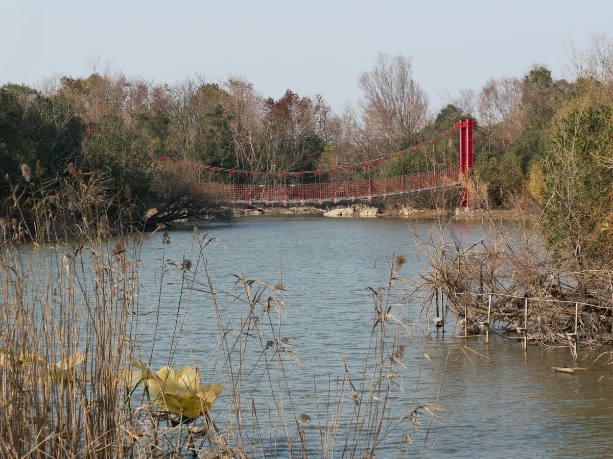 吴淞炮台湾湿地森林公园（1）