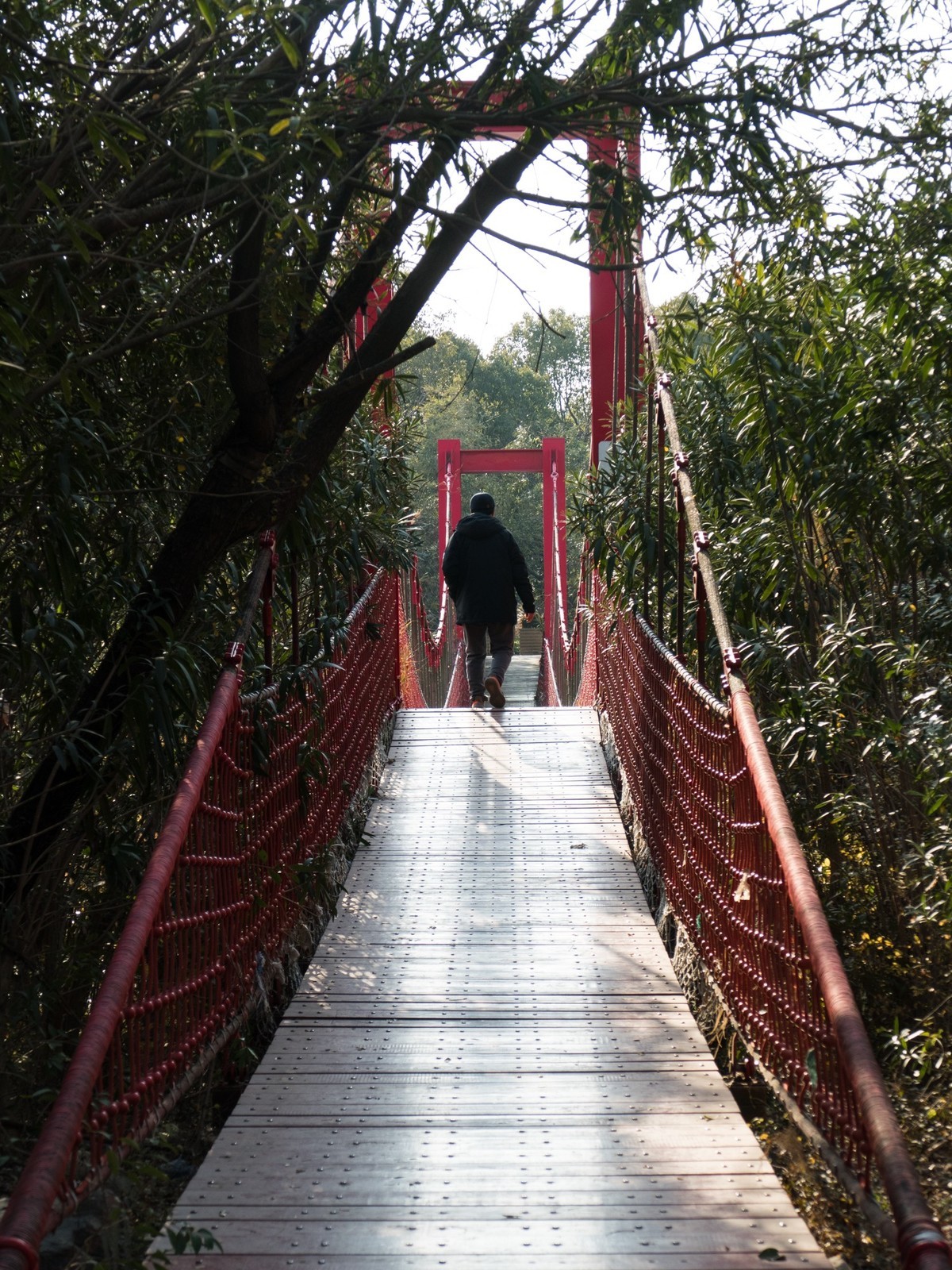 吴淞炮台湾湿地森林公园（1）