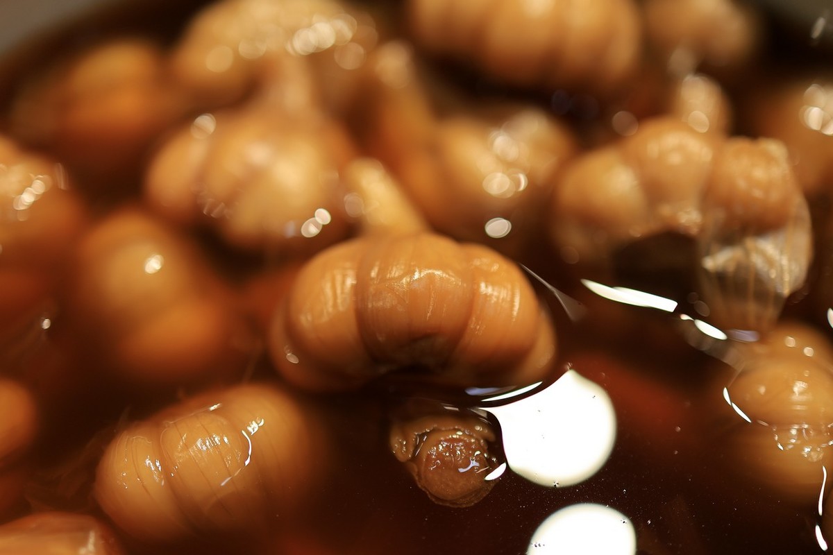 小店里的随拍 ------ 4