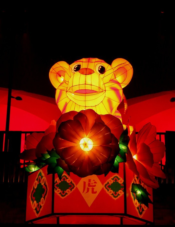 《不老松：纪实摄影》沧州灯展：十二属相！（夜间）