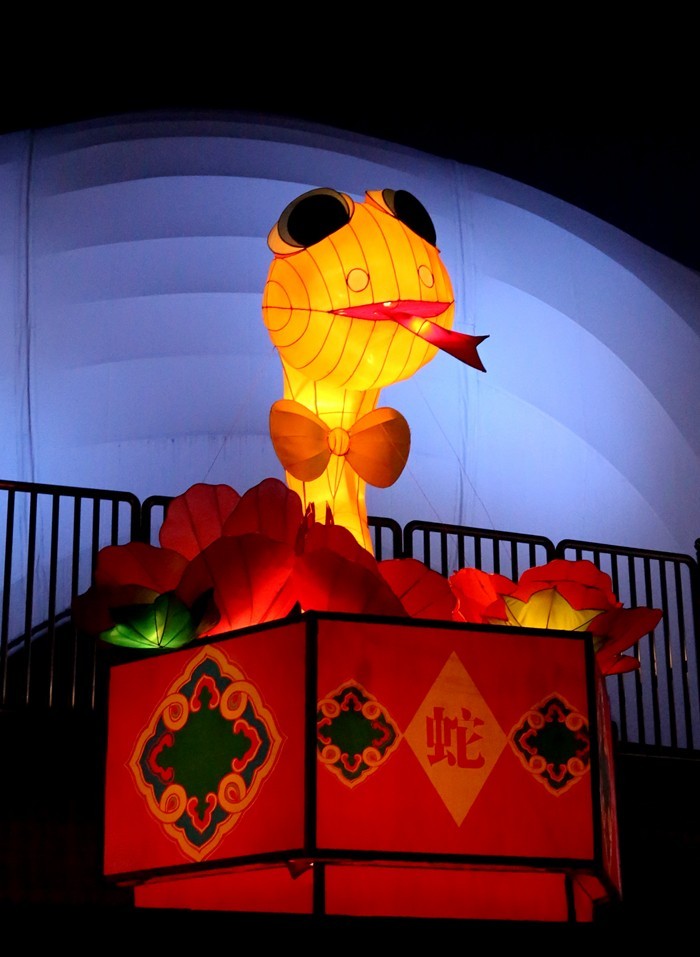 《不老松：纪实摄影》沧州灯展：十二属相！（夜间）