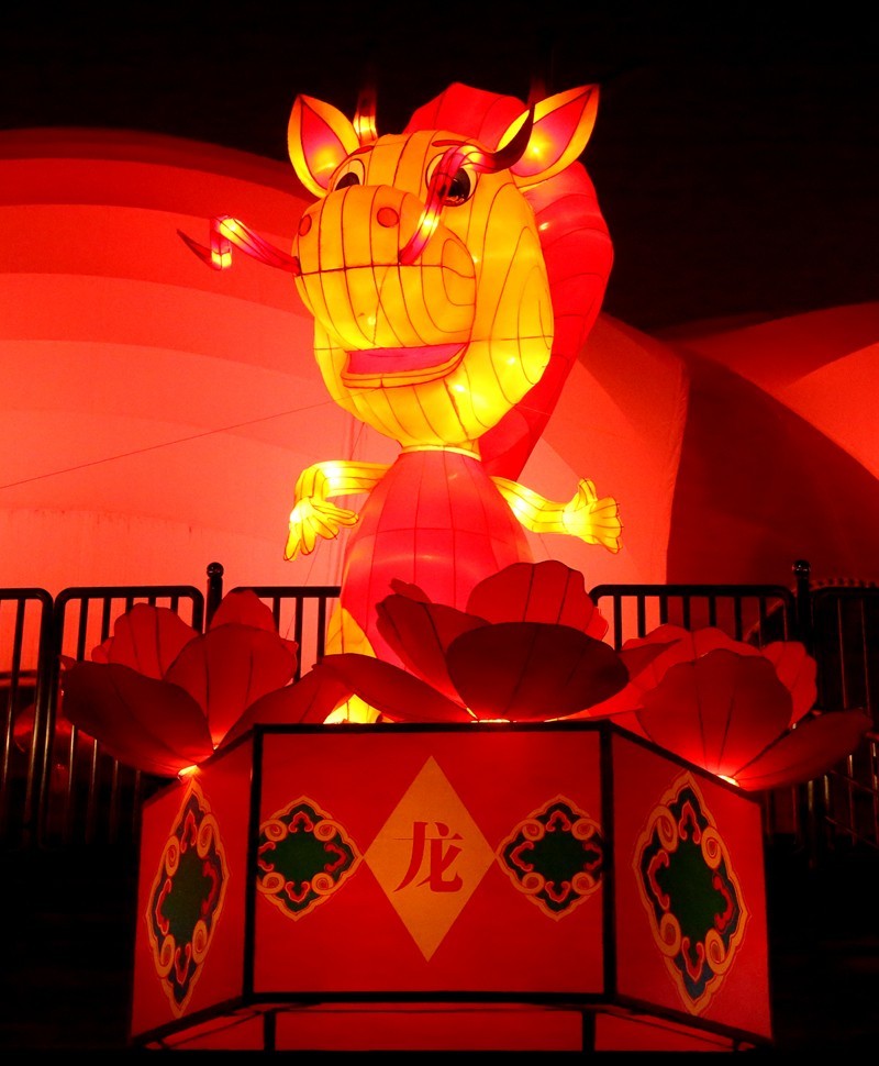 《不老松：纪实摄影》沧州灯展：十二属相！（夜间）