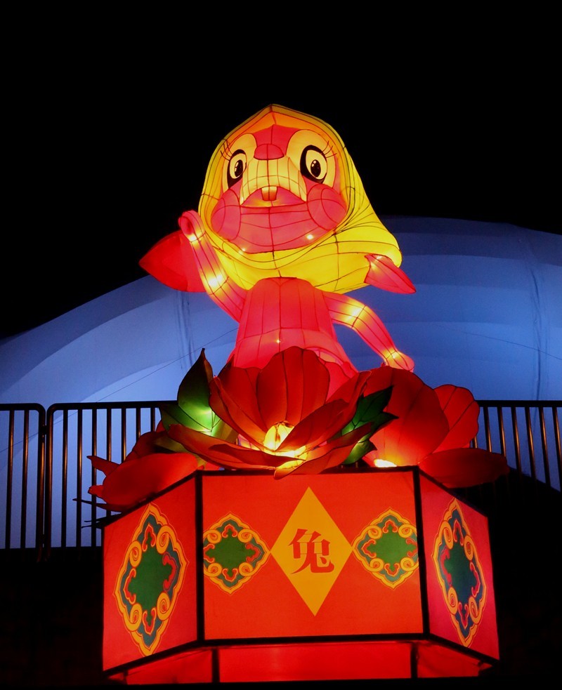 《不老松：纪实摄影》沧州灯展：十二属相！（夜间）