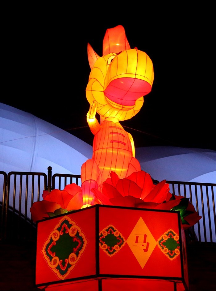 《不老松：纪实摄影》沧州灯展：十二属相！（夜间）