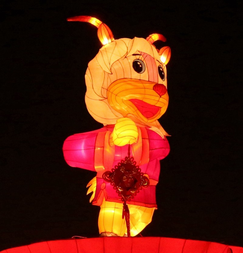 《不老松：纪实摄影》沧州灯展：十二属相！（夜间）