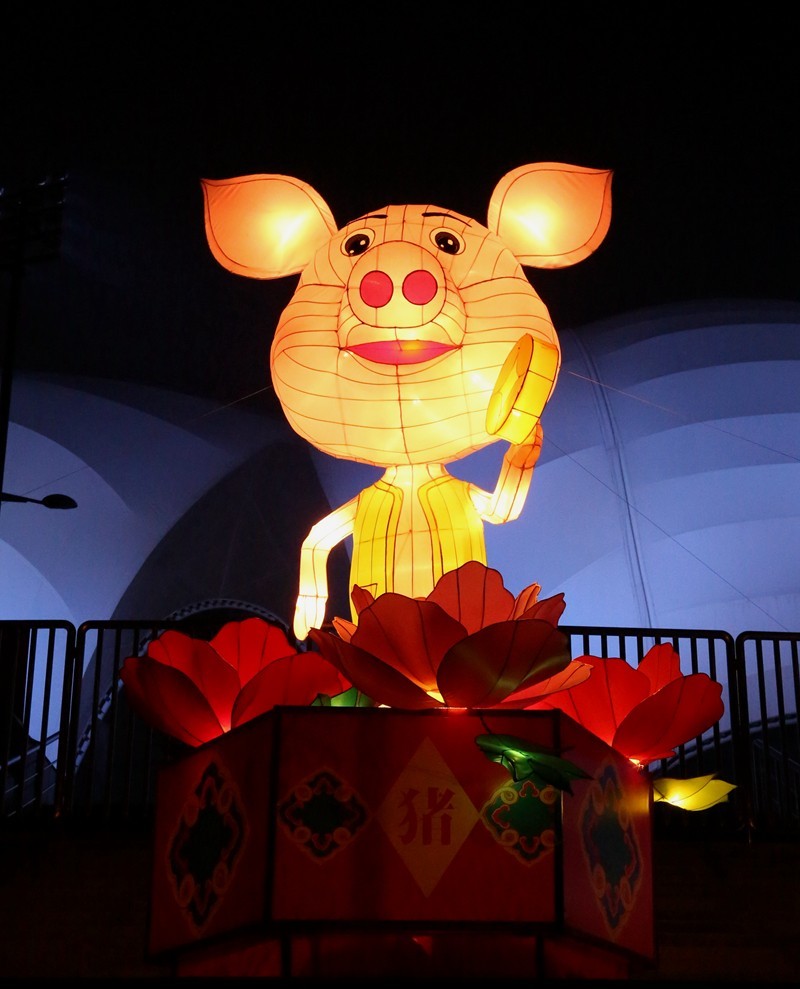 《不老松：纪实摄影》沧州灯展：十二属相！（夜间）