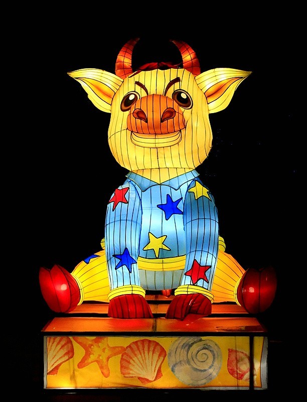 【不老松：海南游摄纪实】 文澜文化公园！发 组十二属相灯！(夜晚）