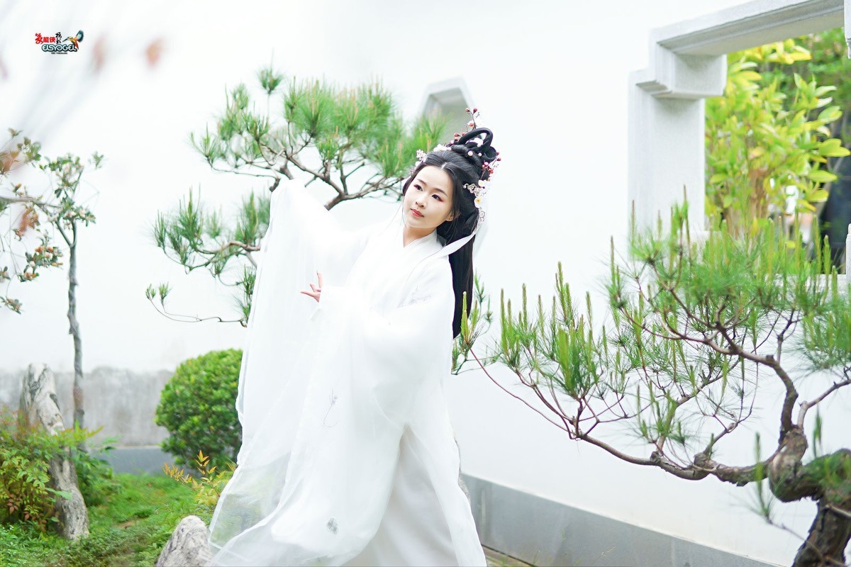 【仙女游园】---芋圆