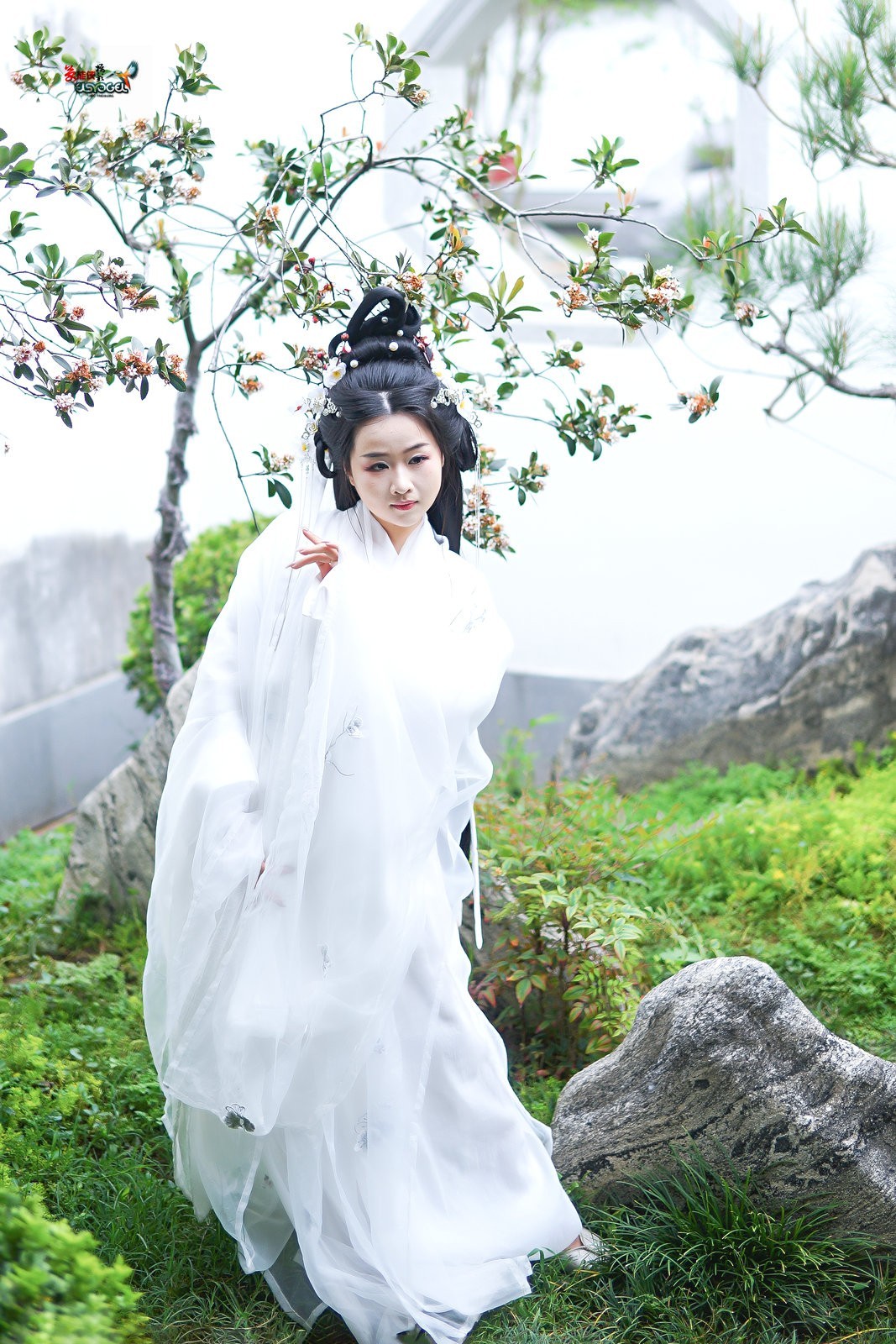 【仙女游园】---芋圆